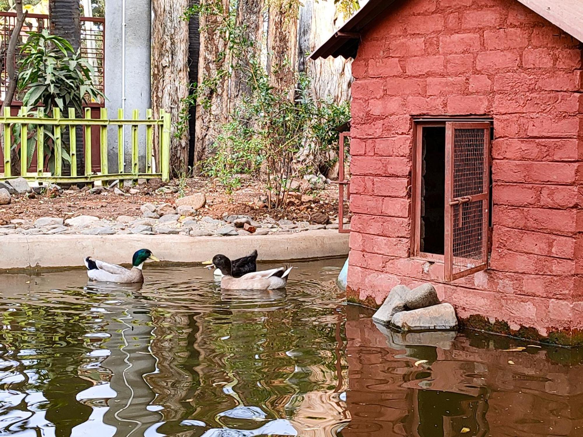 Van Vagdo Resort Rajpipla Extérieur photo